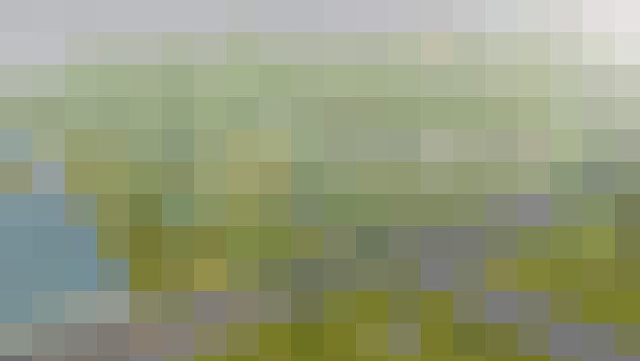 Image 29