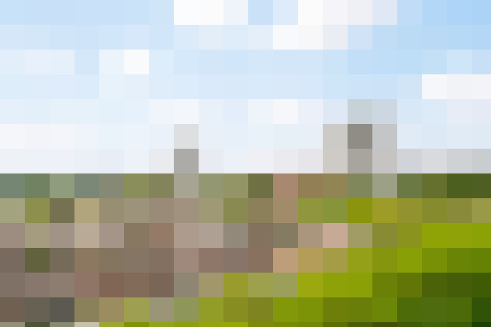 Image 25