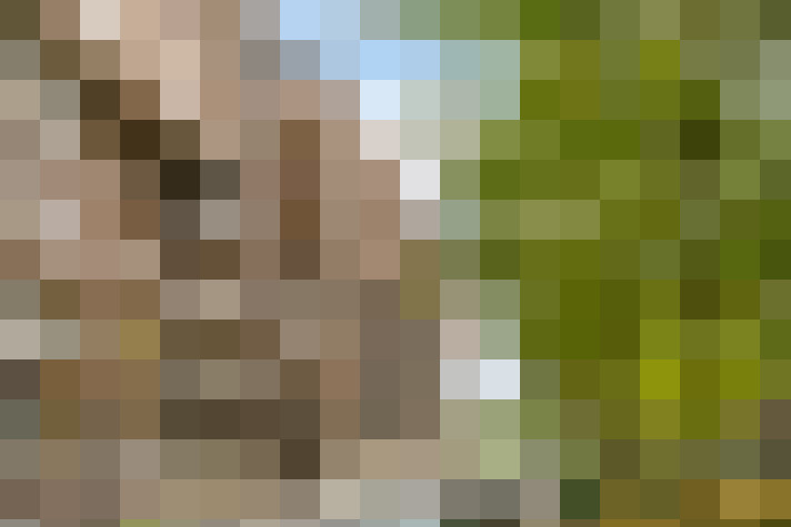 Image 28