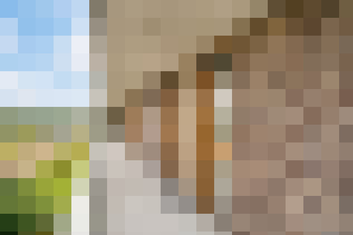 Image 20