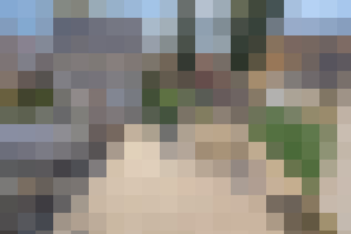 Image 25