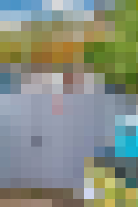 Image 17