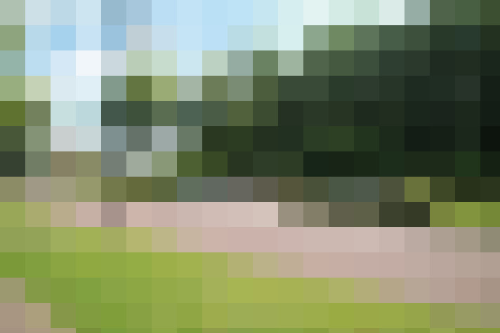 Image 20