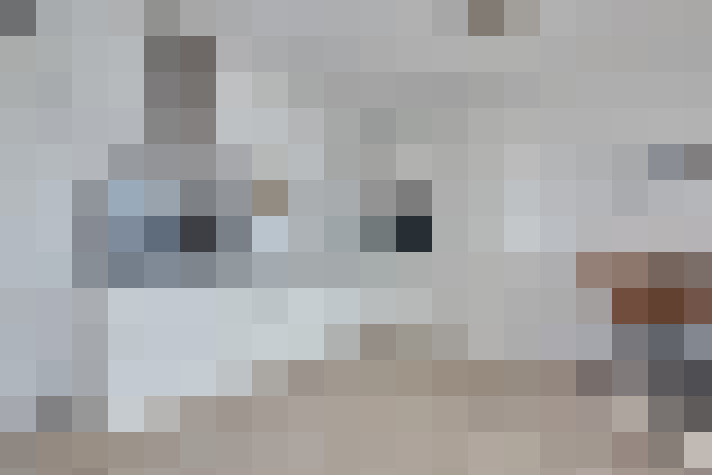 Image 20