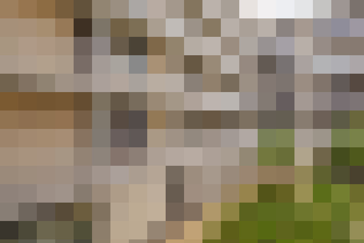 Image 13