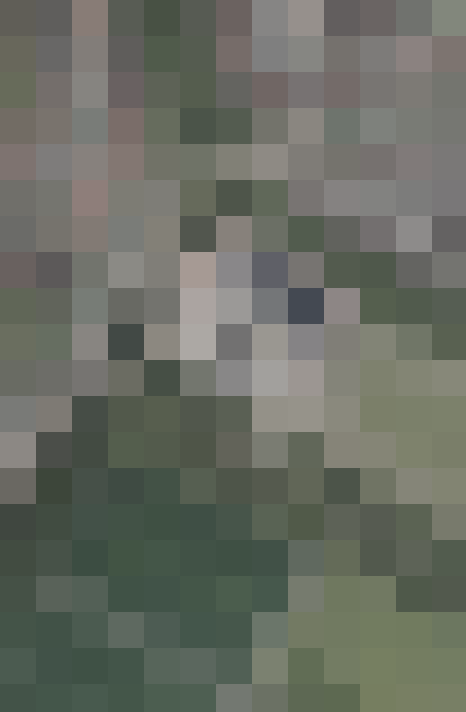 Image 48
