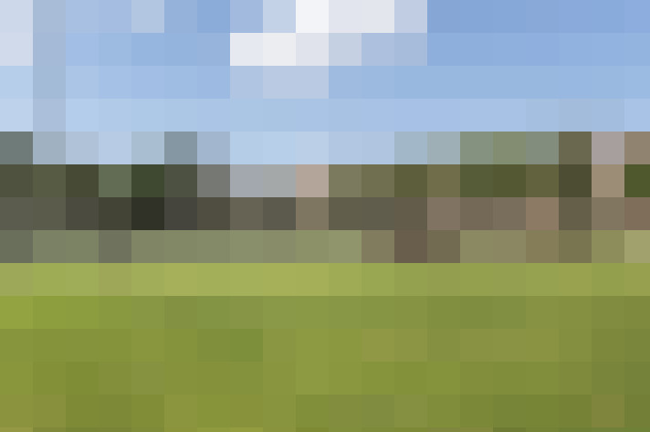 Image 39