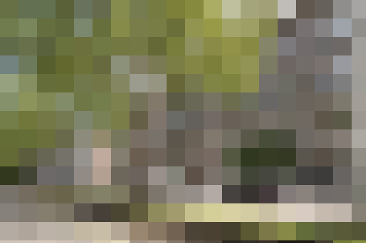 Image 35