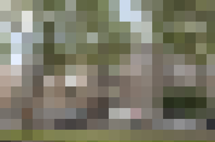 Image 33