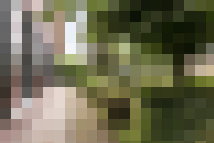 Image 40