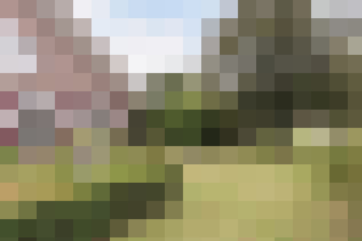 Image 46