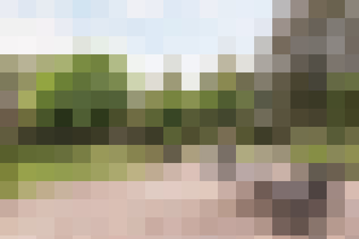 Image 42