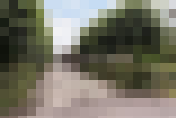 Image 44