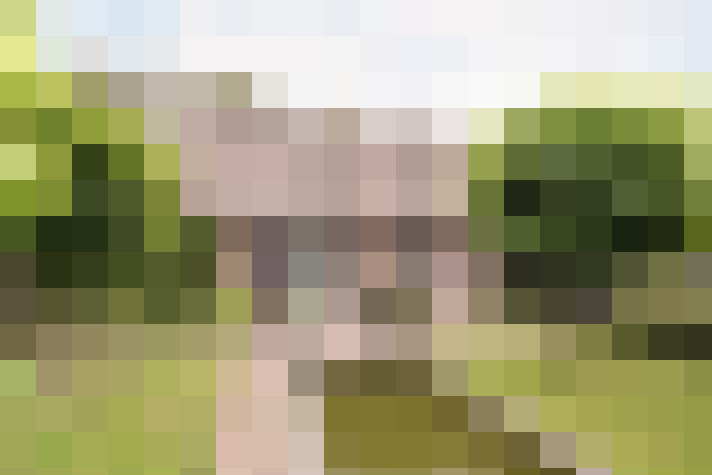 Image 41