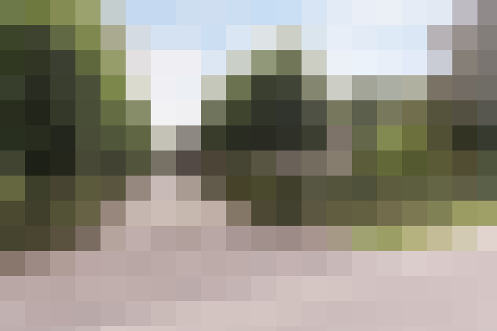 Image 45