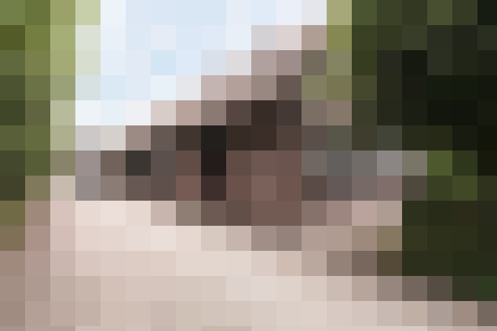 Image 39