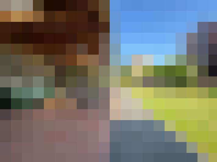 Image 23