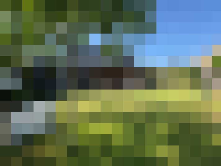 Image 22