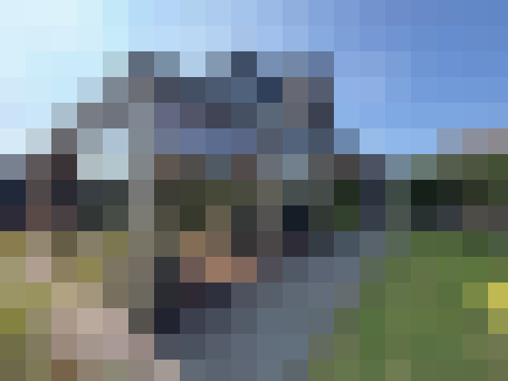 Image 28