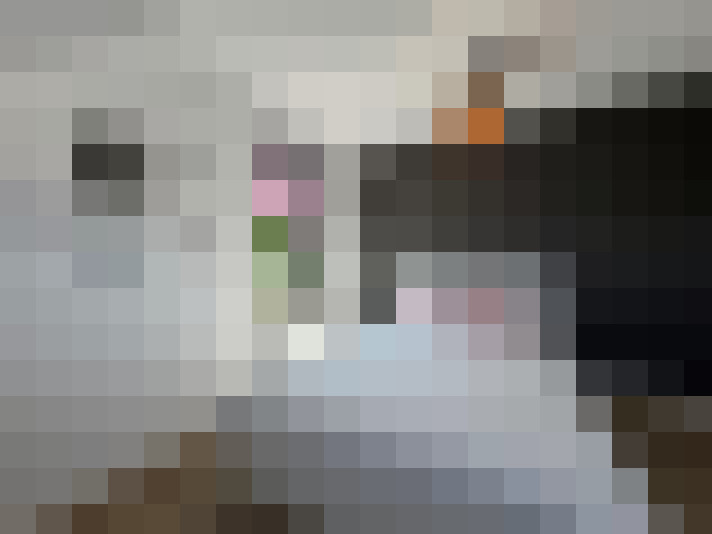 Image 17