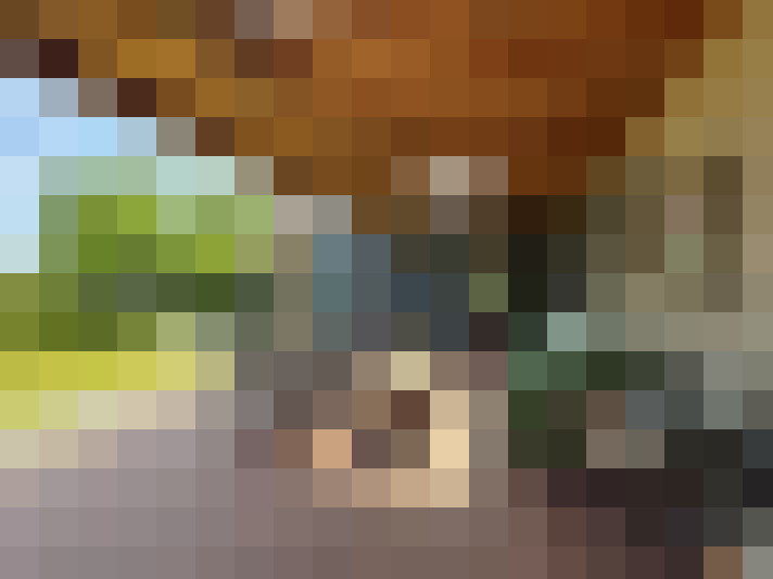 Image 24