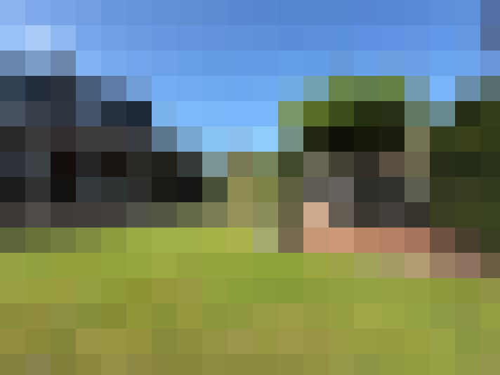 Image 25