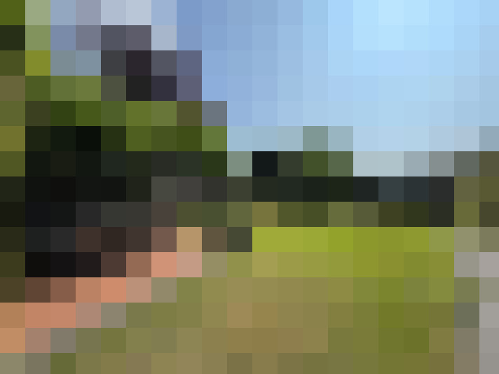 Image 26