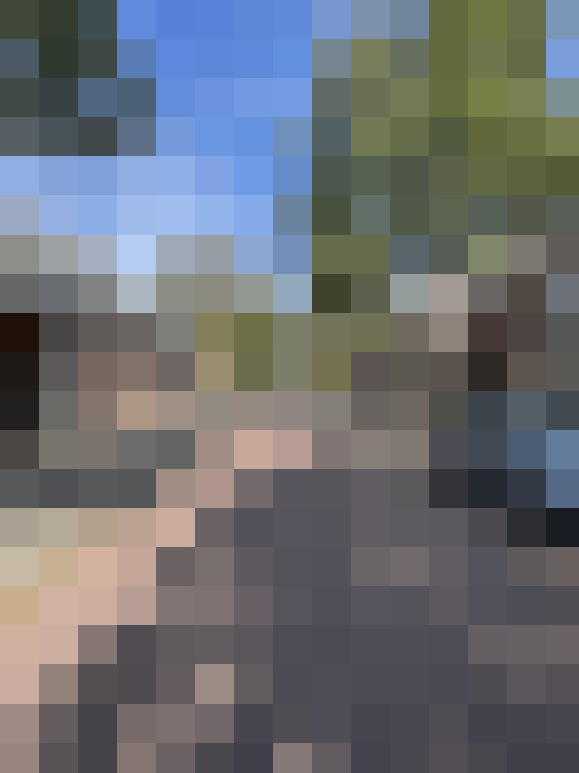 Image 29
