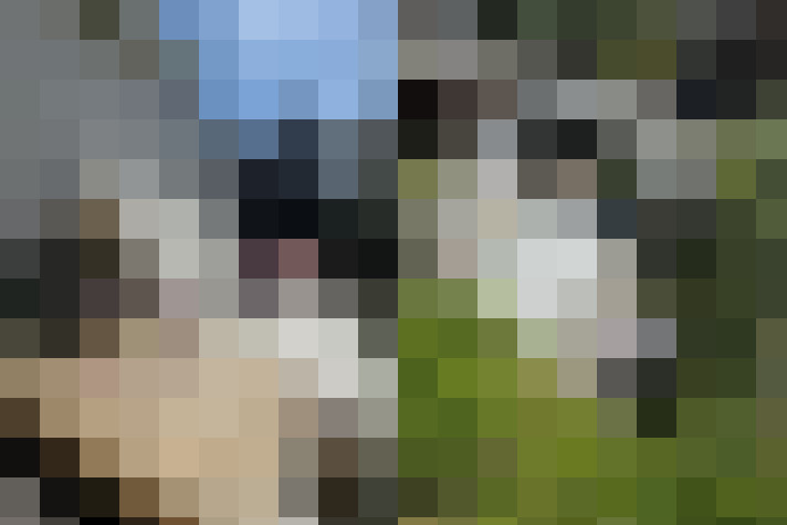 Image 34