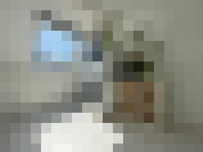 Image 22