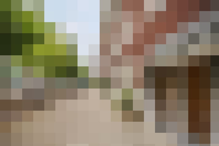Image 20