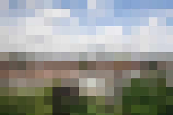 Image 21
