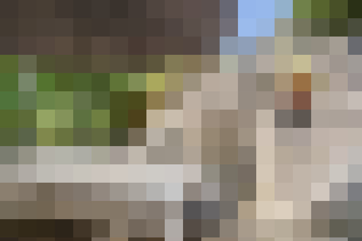 Image 30