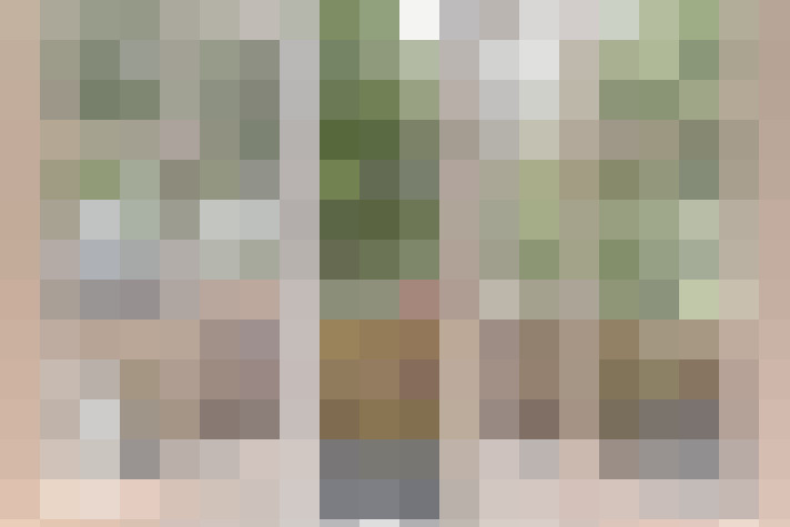 Image 17