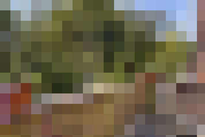 Image 18