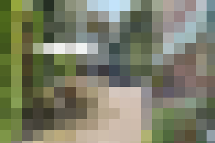 Image 26