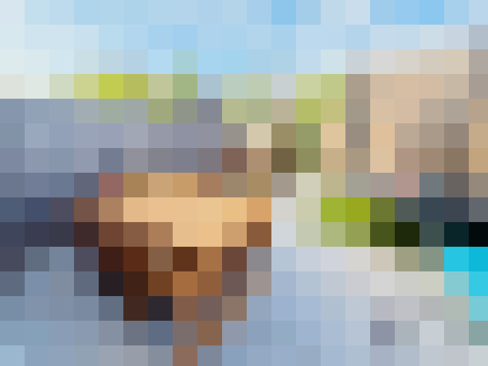 Image 23