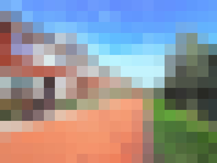 Image 28
