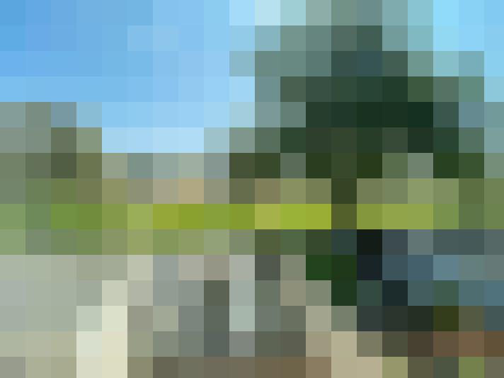 Image 22