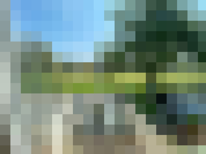 Image 24