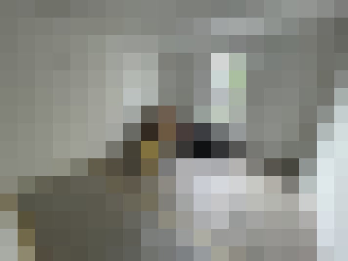Image 13