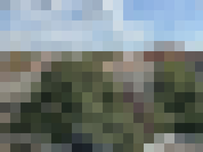 Image 30