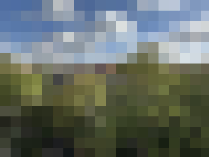 Image 41