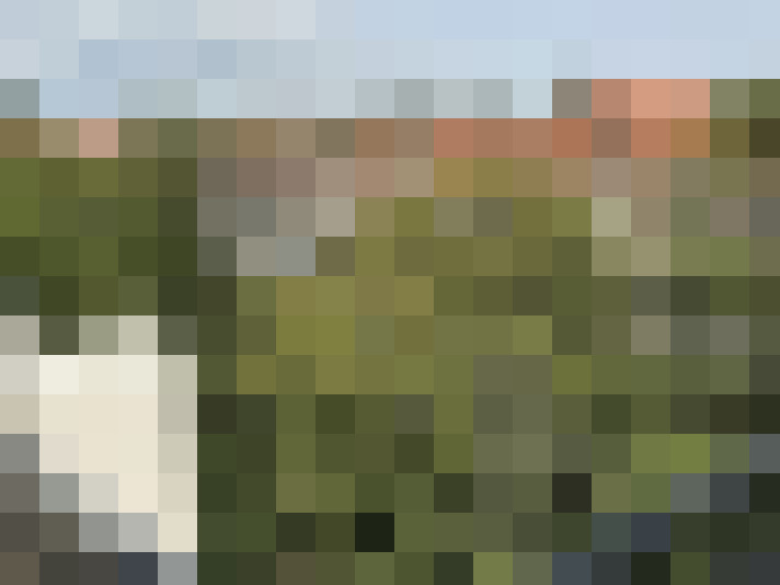 Image 31