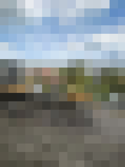 Image 29