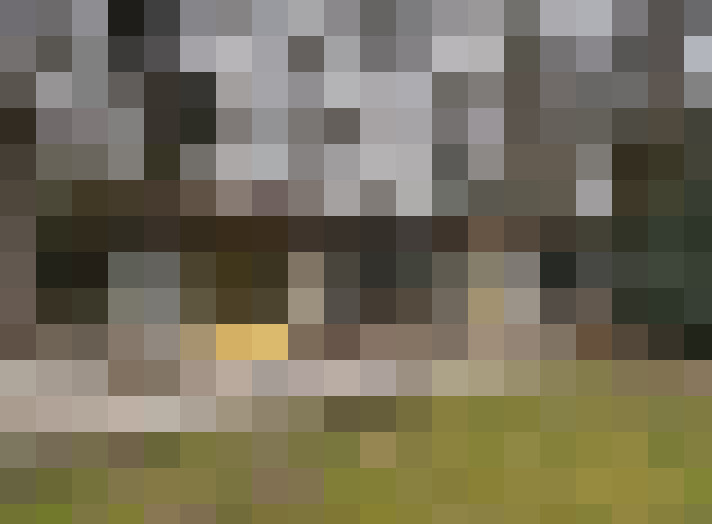 Image 40