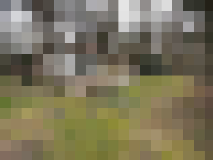 Image 37