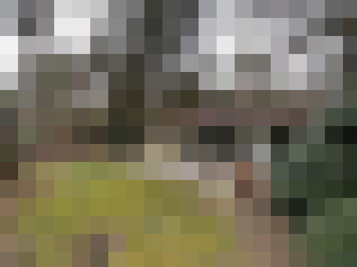 Image 42