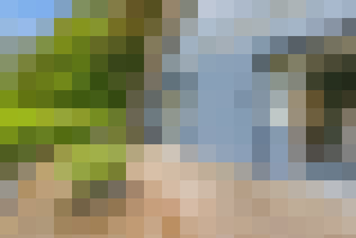 Image 46