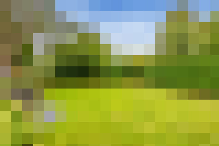 Image 77